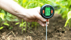 A gardener checking soil moisture and temperature with a digital meter